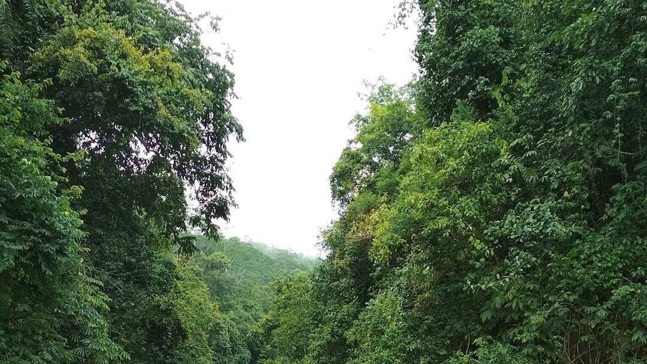 Tanjong Canyon, Tasikmalaya