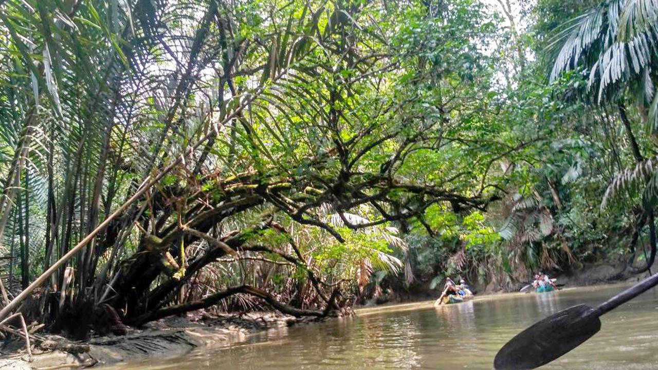 Pesona Pagi Ujung Kulon Surga Tersembunyi Di Tanah Banten