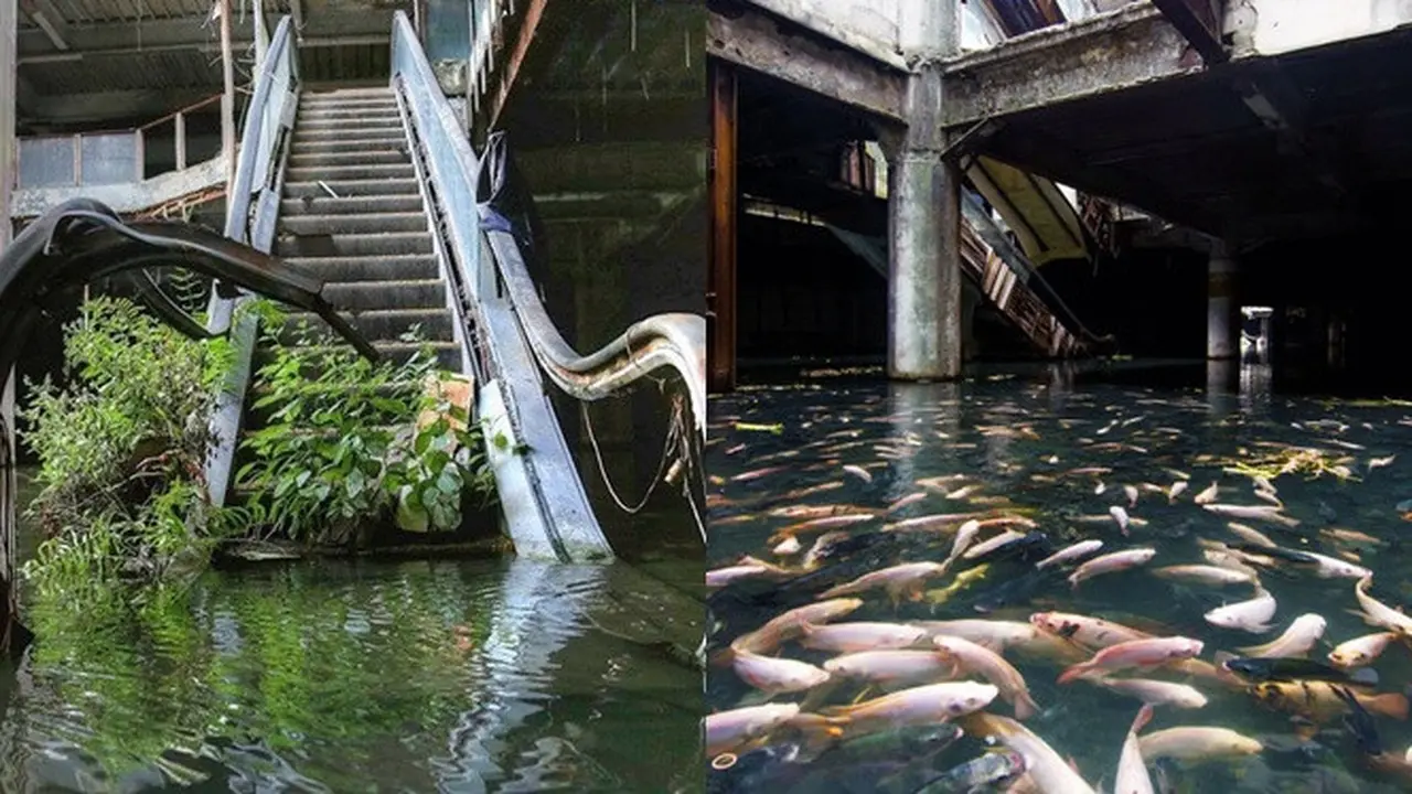 6 Foto Ini Buktikan Alam Menguasai Kehidupan, Bikin Geleng-geleng