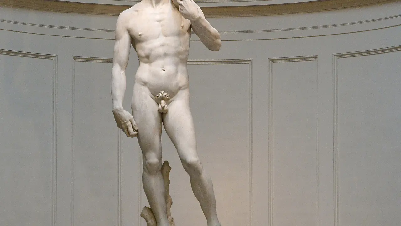 Penis pria