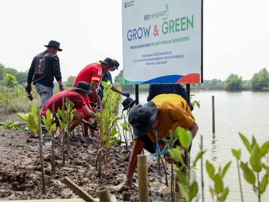 BRI Peduli sebagai bagian dari Program Tanggung Jawab Sosial dan Lingkungan (TJSL) BRI, kembali menunjukkan komitmennya terhadap pelestarian lingkungan di momen Hari Mangrove Sedunia 2025.&nbsp;