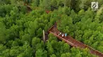 Pusat Informasi Mangrove didirikan konsorsium Javlec Indonesia sebagai alternatif wisata di kepulauan derawan. didirikan di lahan seluas 3,69 hektar dan miliki jogging track sepanjang 1,5 km