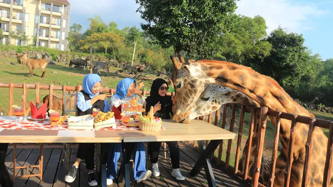 Taman Safari Prigen Baobab Safari Resort