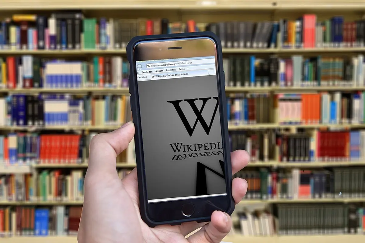 Ilustrasi Wikipedia (Pixabay)