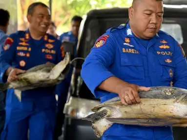 Polisi membawa penyu hijau (chelonia mydas) di tempat konservasi setelah diselamatkan oleh Kantor Polisi Laut Indonesia di Denpasar, Bali, Selasa (17/10/2023). Sebanyak 11 penyu hijau berhasil diselamatkan saat hendak diselundupkan ke Denpasar, Bali, untuk dijadikan hidangan. (SONNY TUMBELAKA/AFP)