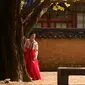 Seorang wanita berpose saat difoto di bawah pohon ginkgo di istana Gyeongbokgung di Seoul (31/10). -Pohon ginkgo secara luas dibudidayakan dan diperkenalkan pada awal sejarah manusia. (AFP Photo/Ed Jones)