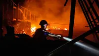7 Ribu Ayam Terpanggang, Peternak Rugi Besar