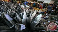 Harga sejumlah ikan terutama ikan tongkol di pasar tradisional mengalami kenaikan sekitar Rp 2.000 per kilo gram (kg).