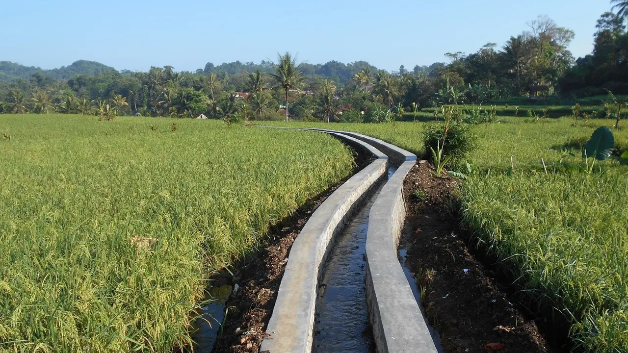 Kementan Canangkan Program RJIT 135.600 Ha di 32 Provinsi