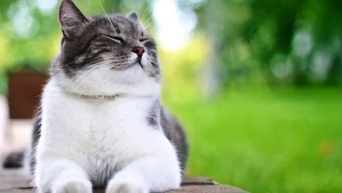 Photo: Copyright Thinkstockphotos.com