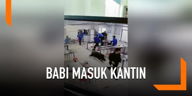 VIDEO: Kepanikan Karyawan Saat Babi Hutan Masuk Kantin