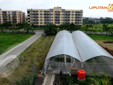 Sebuah green house dibangun di depan rumah susun Marunda, Jakarta Utara. (Liputan6.com/Andrian M. Tunay)