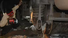 Petugas memeriksa kondisi gajah betina yang tertabrak kereta penumpang di suaka margasatwa Mahananda, India, Selasa (15/12). Gajah tewas seketika setelah tubuhnya terlindas roda kereta. (AFP PHOTO/Diptendu Dutta)