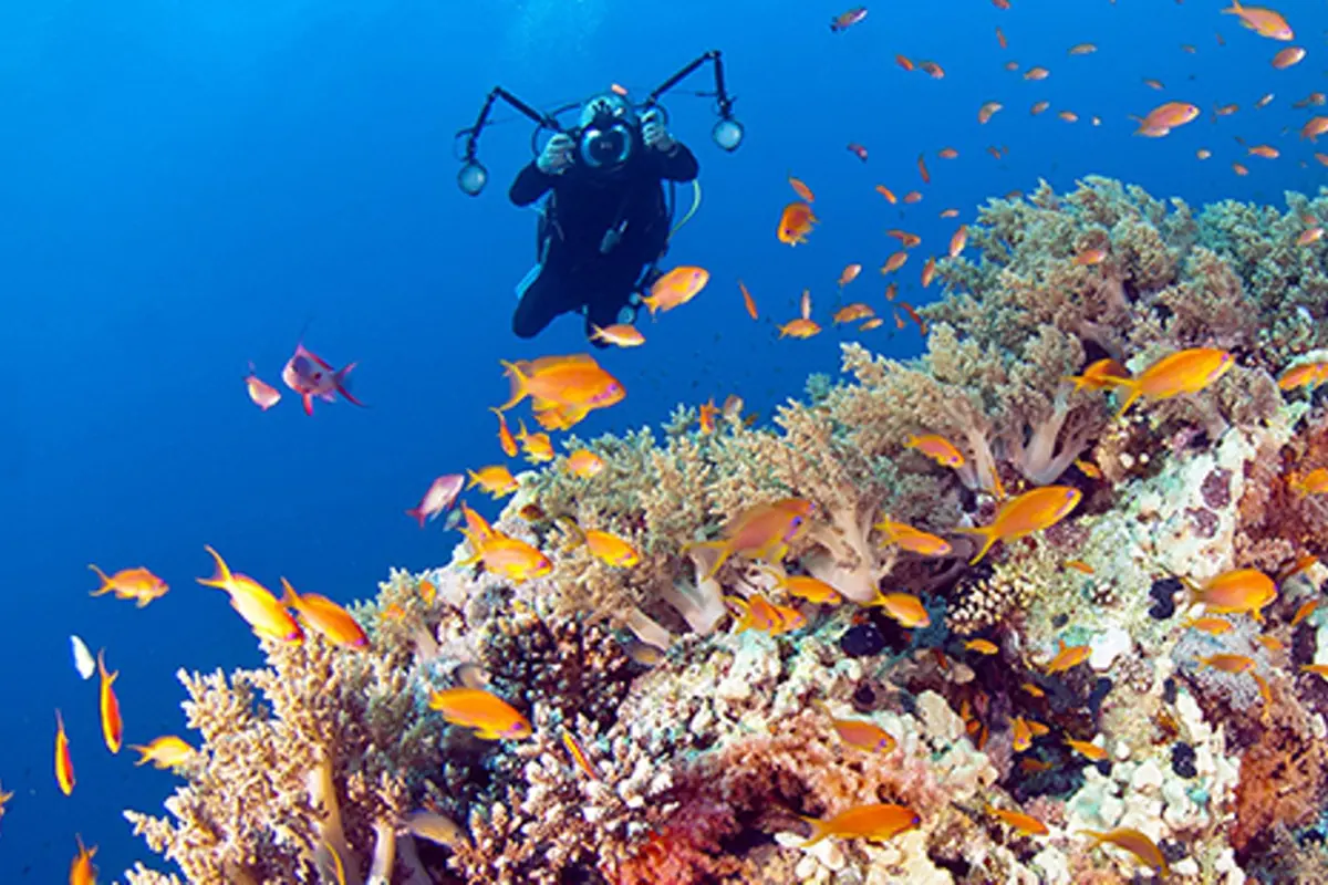 Wakatobi, 'Savana Koral' di Selatan Garis Khatulistiwa