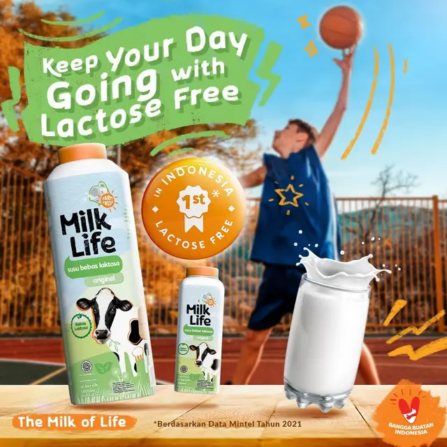 Susu Milklife Lactose Free
