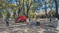 Serangan Tawon Vespa di Keraton Surakarta Memakan Korban