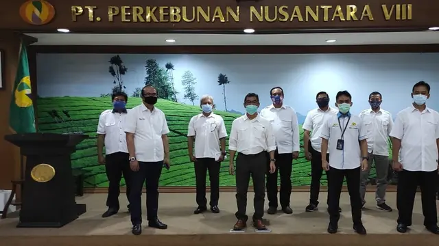 PT Perkebunan Nusantara VIII
