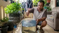 Panduan Bikin Aquaponik Botol Bekas untuk Pemula, Langkah Mudah Hasil Maksimal