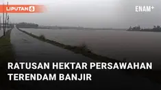 Ratusan hektar areal persawahan terendam banjir. Banjir terjadi pada 3 desa di Tukdana, Indramayu