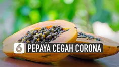 Selain rasanya yang enak, pepaya ternyata juga memiliki sejuta manfaat yang baik bagi tubuh, salah satunya cegah Corona.