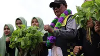 Gubernur Kalimantan Selatan (Kalsel) Sahbirin Noor melakukan panen sayuran bersama warga Desa Gunung Besar, Kecamatan Simpang Empat Kabupaten Tanah Bumbu.