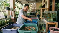16 Peluang Usaha Santai Tapi Konsisten Hasilnya Tiap Minggu, Cocok untuk Penghasilan Tambahan