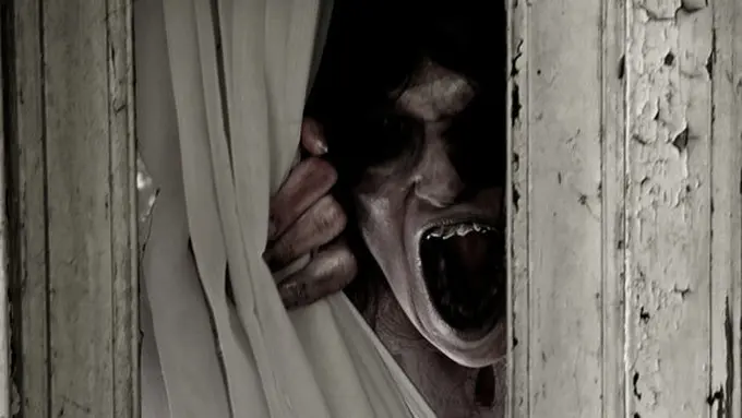 (c) shutterstock.com