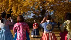 Pengunjung yang mengenakan pakaian tradisional hanbok berpose untuk foto di bawah pohon ginkgo di istana Gyeongbokgung di Seoul (31/10). Pohon Ginkgo yang berasal dari Tiongkok ini dikenal sebagai pohon rambut gadis. (AFP Photo/Ed Jones)