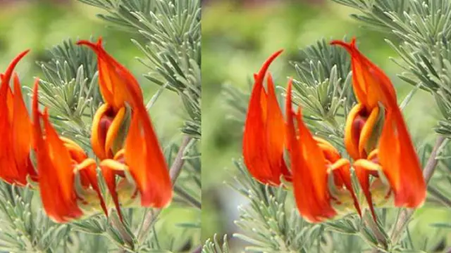 Foto: copyright ListVerse.com