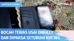 Seorang bocah di Tasikmalaya meninggal dunia usai 2 hari dirawat di rumah sakit. Selain depresi, korban diduga mengalami penurunan daya tahan tubuh. Sebelumnya korban sempat dibully dengan dipaksa menyetubuhi seekor kucing.