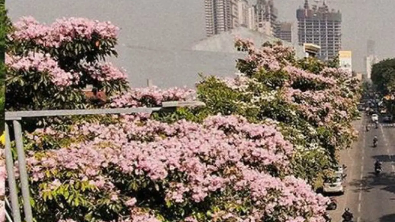 (Foto: Instagram @Surabaya)