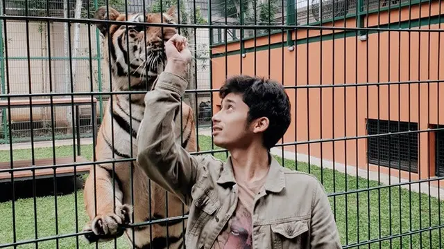 7 Potret Alshad Ahmad dengan Hewan, Sepupu Raffi Ahmad yang Pelihara Harimau Benggala