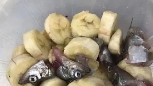6 Menu Takjil Buka Puasa Pakai Olahan Pisang Ini Nyeleneh, Kocak