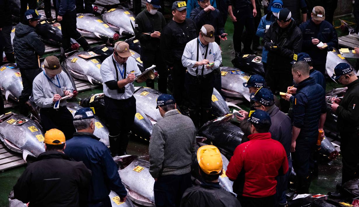 Acara lelang yang digelar secara tradisional ini diadakan pada setiap awal tahun baru di bulan Januari. Tampak dalam foto, para pedagang grosir dan pembeli berpartisipasi dalam lelang tahunan “Tahun Baru” di pasar ikan Toyosu di Tokyo, Senin, 5 Januari 2026. (AP Photo/Louise Delmotte)