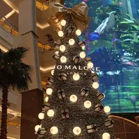 Jo Malone London hadirkan aroma memikat terbaru sambut Natal dan Tahun Baru