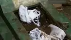 (Liputan 6 TV)