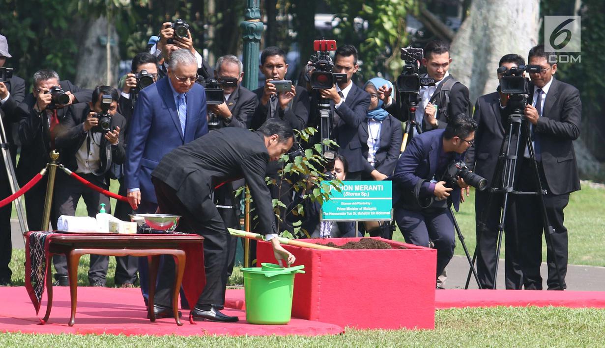 Presiden Joko Widodo (Jokowi) bersama PM Malaysia, Mahathir Mohamad menyiram pohon yang baru mereka tanam di halaman belakang Istana Bogor, Jumat (29/6). Penanaman pohon Meranti itu dalam rangkaian penyambutan PM Mahathir. (Liputan6.com/Angga Yuniar)