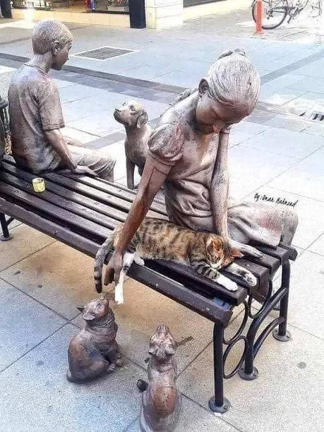 6 Potret Lucu Kucing saat Pose Bareng Patung Ini Bikin Gemas