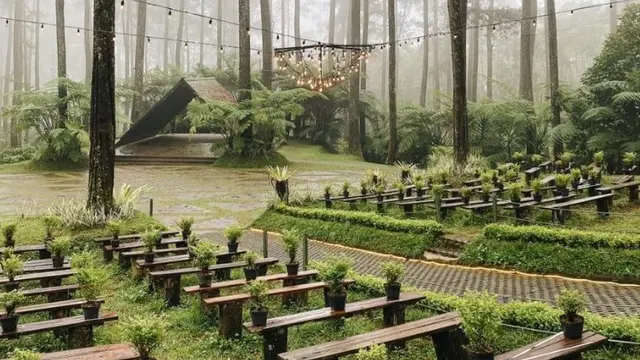 hutan anggrek cikole
