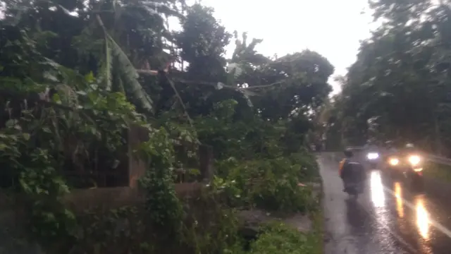 Dampak hujan es dan puting beliung di Banyumas, Jawa Tengah, Rabu (25/12/2019). (Foto: Liputan6.com/BPBD Banyumas/Muhamad Ridlo)