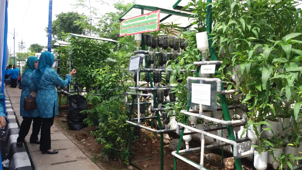 urban farming