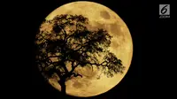 Gerhana Bulan atau Supermoon (iStockphoto)