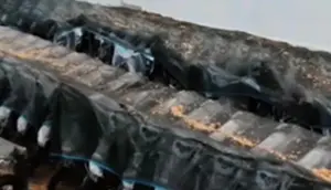 Kabar Baik di Balik Deretan Motor MBG