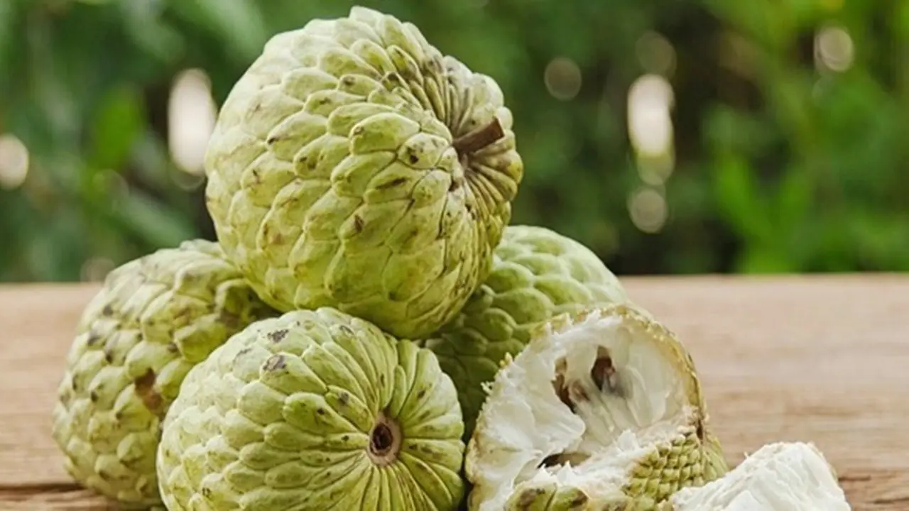 Photo: Copyright sunflower-asia.com
