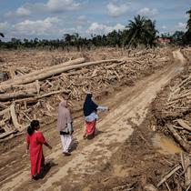 Aceh Tamiang menjadi salah satu daerah yang paling terdampak bencana banjir bandang Sumatera yang terjadi pada (26/11/2025) lalu. Tampak dalam foto, para wanita melintasi jalan yang telah dibersihkan dari pohon-pohon tumbang pasca banjir bandang di Aceh Tamiang, pada Rabu 10 Desember 2025. (Aditya Aji/AFP)