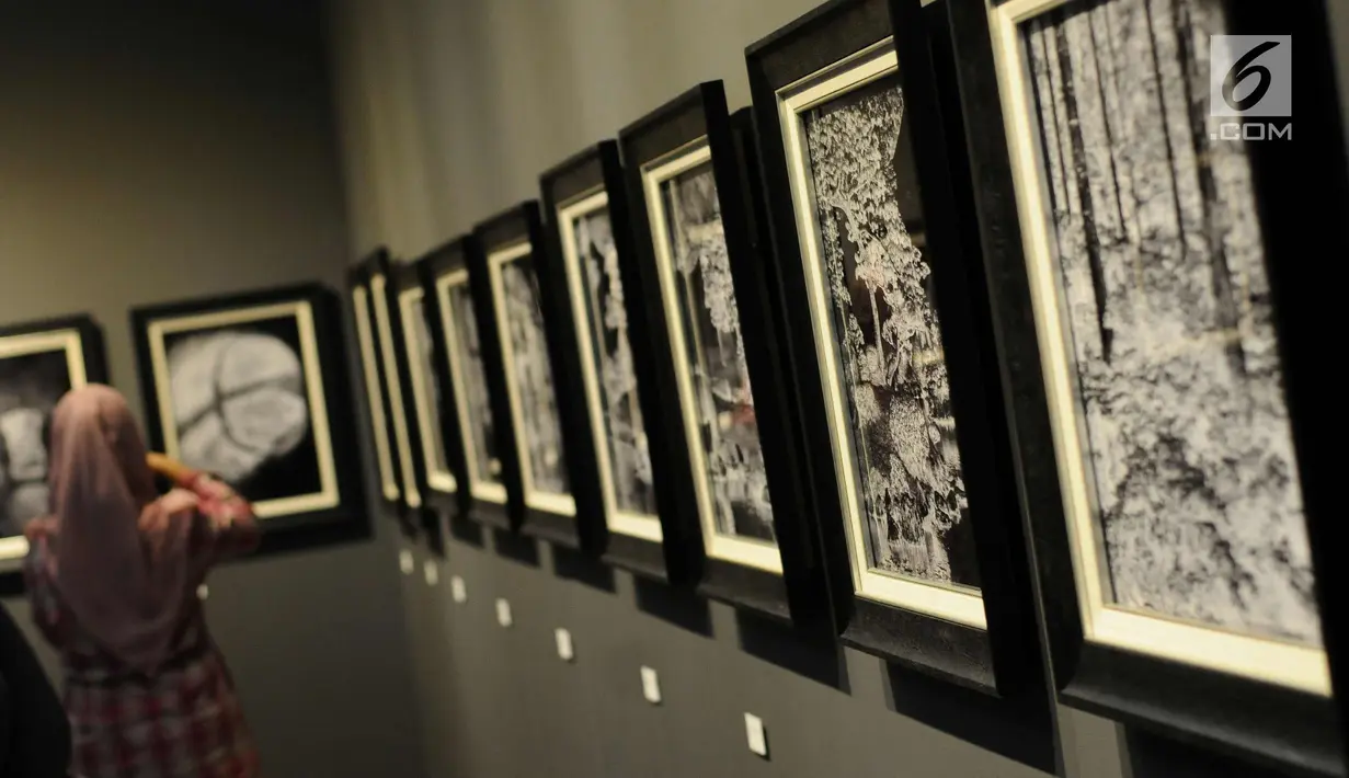 Deretan foto karya Suherry Arno yang bertema Melampaui Fotografi dipamerkan di Galeri Nasional, Jakarta, Selasa (24/10). Pameran foto tunggal karya Suherry Arno ini berlangsung hingga 5 November 2017. (Liputan6.com/Helmi Fithriansyah)