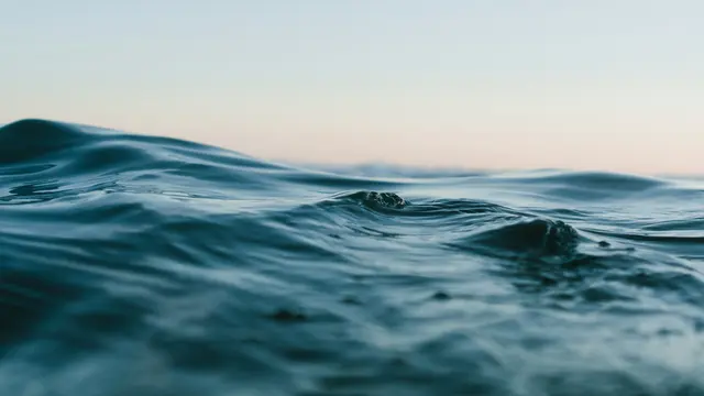 Water