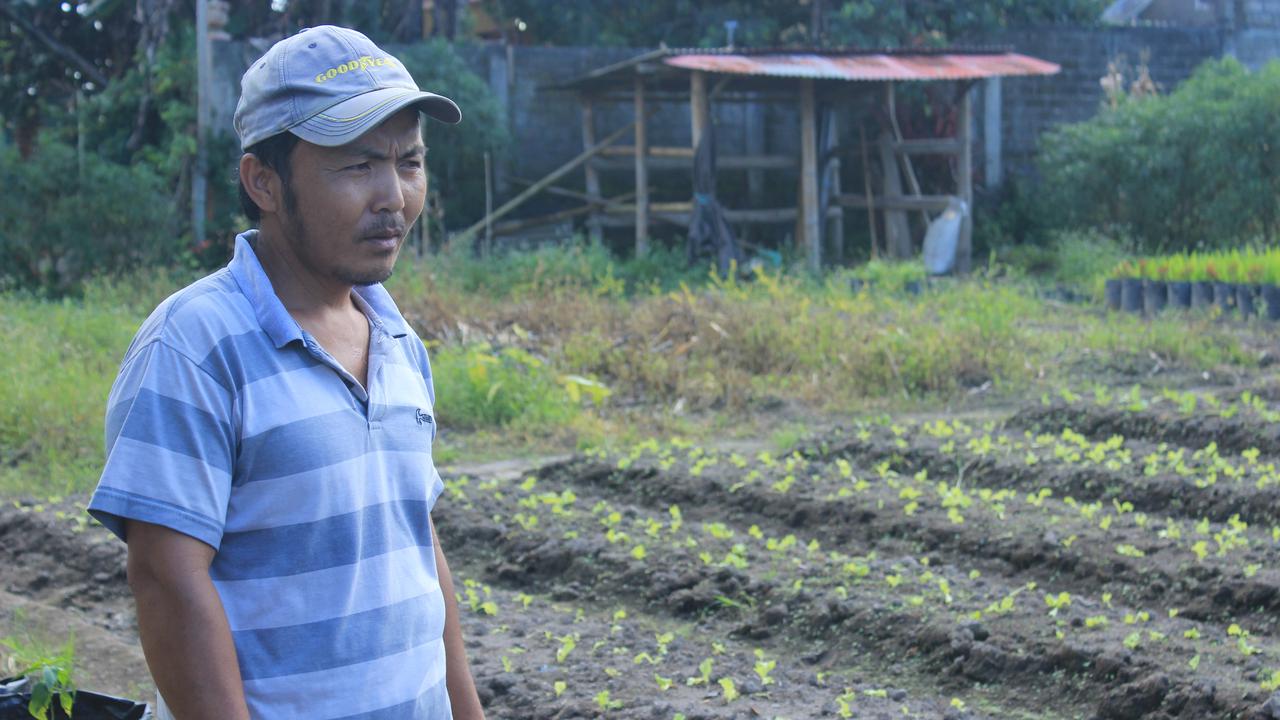 Untung Rugi Festival Bunga Tomohon bagi Para Petani Lokal