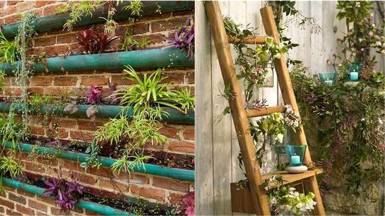 Taman Vertikal Unik yang Hemat Ruang