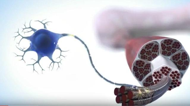 10 Penyebab Anosmia yang Perlu Diketahui, Kenali Gejala dan Cara Mengatasinya